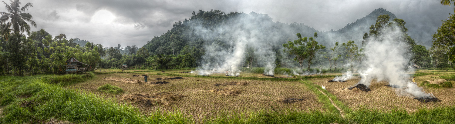 Nagari Sungai Pinang