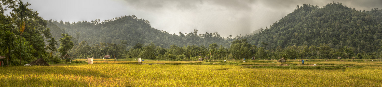 Nagari Sungai Pinang